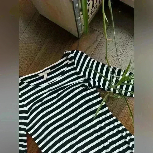 Banana Republic Womens Stripe 3/4 Sleeve Preppy Euro Summer Dress XXS Petite - Picture 6 of 12